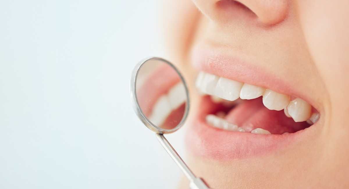 Anatomía dental: estructura de los dientes y tipos de piezas dentales
